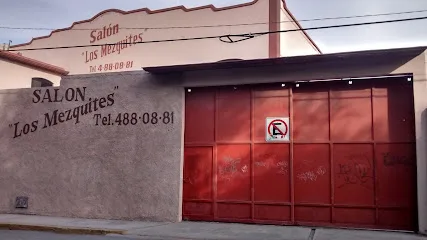 Los Mezquites - Ramos Arizpe - Coahuila - México