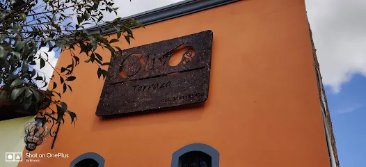 Olivos terraza - Arandas - Jalisco - México