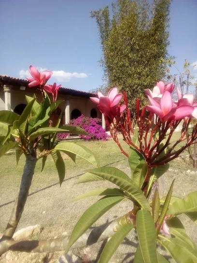 Quinta Sta Mónica - Rojas de Cuauhtémoc - Oaxaca - México