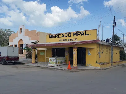 Restaurante EL PESCADOR - Dzilam de Bravo - Yucatán - México