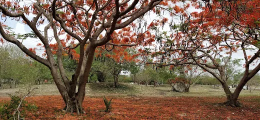 Área Verde De Pacabtún - Mérida - Yucatán - México