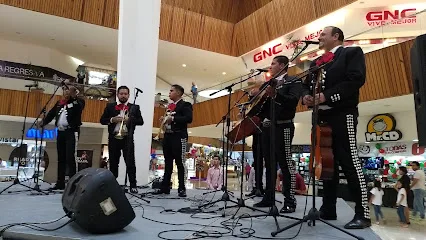PartyZone - Zapopan - Jalisco - México