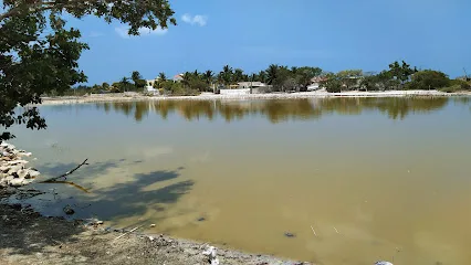 Salinera Elsa - Santa Clara - Yucatán - México