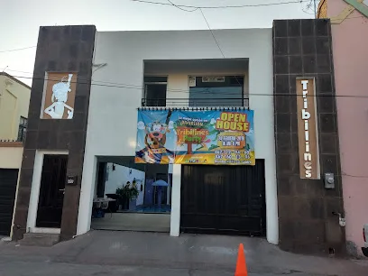 Tribilines Party - Nuevo Laredo - Tamaulipas - México