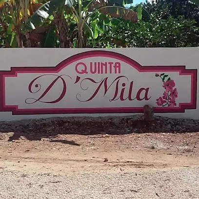 Quinta D&apos; Mila - Akil - Yucatán - México