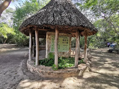 Parque Ecológico Metropolitano del Sur Yu&apos;um Tsil - Mérida - Yucatán - México