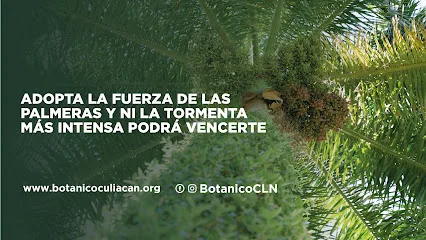 Jardín Botánico Culiacán - Culiacán Rosales - Sinaloa - México