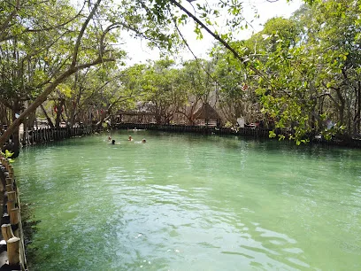 Reserva Ecológica El Corchito - Progreso - Yucatán - México