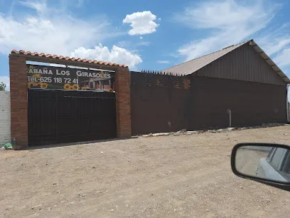 Cabaña los Girasoles - Cd Cuauhtémoc - Chihuahua - México