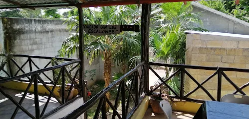 La Palapa De Fer - Yaxcabá - Yucatán - México