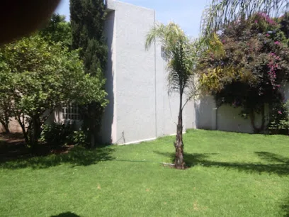 Bamboo - Jardín de eventos - Ojo de Agua - Estado de México - México