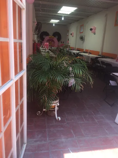 Salón Verdin Para Cualquier Evento - Silao - Guanajuato - México