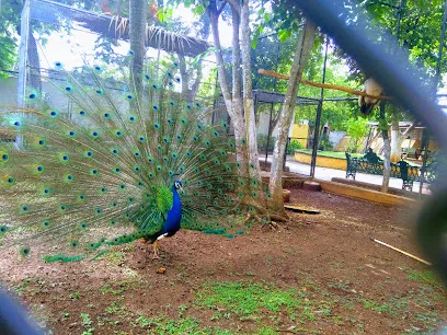 Parque Zoológico de Mulsay - Mulsay - Yucatán - México