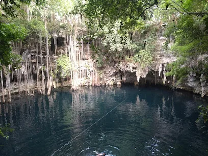 Yokdzonot Cenote - Yokdzonot - Yucatán - México