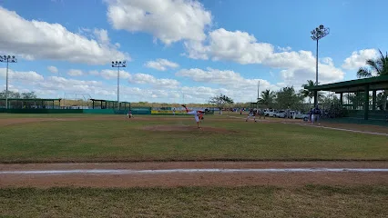Liga Infantil y Juvenil de Béisbol Yucatán A.C. - Mérida - Yucatán - México