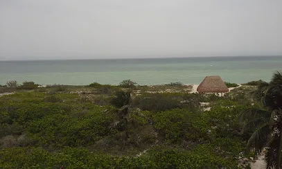 Pescaderia Yuli - Telchac Puerto - Yucatán - México