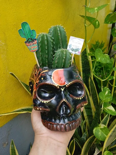 La Casita De Los Cactus Tekax. - Tekax - Yucatán - México