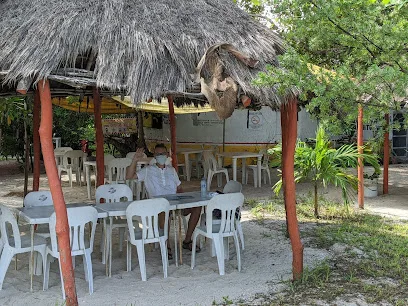 Los Cocos - Telchac - Yucatán - México