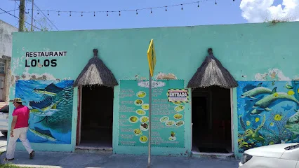 Restaurant Lolos - Telchac - Yucatán - México