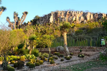 Jardín Botánico Regional de Cadereyta - Cadereyta de Montes - Querétaro - México
