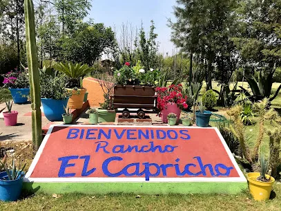 Rancho el Capricho - Nopaltepec - Estado de México - México