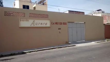Barda Aurora - Irapuato - Guanajuato - México