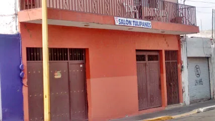 Salón de Fiestas Tulipanes - Aguascalientes - Aguascalientes - México