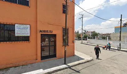 Salón Vecinal Auris - Lerma de Villada - Estado de México - México