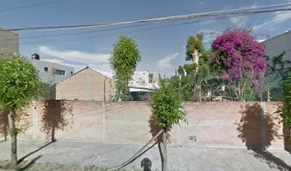 La Palapa Del Italiano - San Luis - San Luis Potosí - México