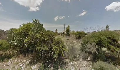 La Palapa - La Milpa - Zacatecas - México