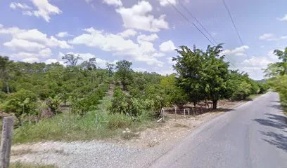 Rancho la granja - Axtla de Terrazas - San Luis Potosí - México