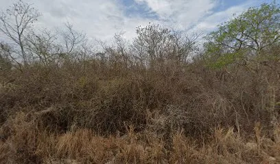 Rancho Triple M - Conkal - Yucatán - México