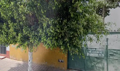 Los Cedros Salón De Fiestas Infantiles - El Pueblito - Querétaro - México