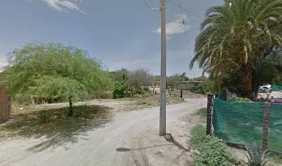 Uta Biruta - Hermosillo - Sonora - México