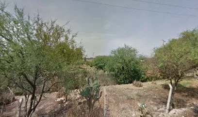 Garden Copal - Irapuato - Guanajuato - México