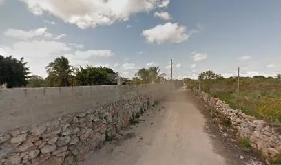 Rancho San Carlos - Ixil - Yucatán - México