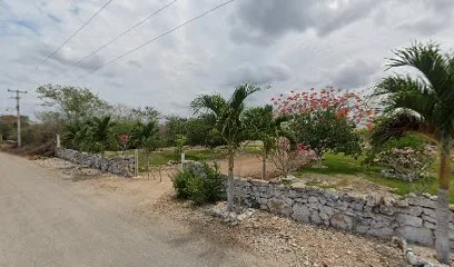 Terreno Ixil Abuelita - Ixil - Yucatán - México