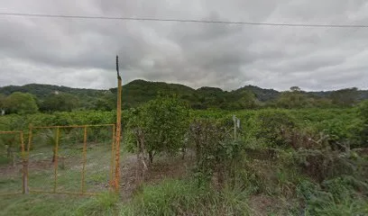 FINCA LA GRANDEZA - La Grandeza - Veracruz - México