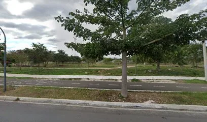Parque lineal Los paseos - Mérida - Yucatán - México