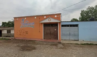 The Princess Local Para Fiestas - Sayula - Jalisco - México