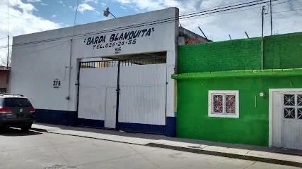 Barda Blanquita - Irapuato - Guanajuato - México